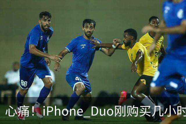 心痛！iPhone Duo刚购买几小时内屏竟出现裂缝，维修费用高达7998元！